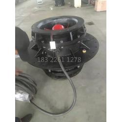 潛水全貫流閘門(mén)泵