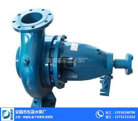 型雙吸泵,zjl液下渣漿泵,臥式渣漿泵 安國(guó)市東藍(lán)水泵廠