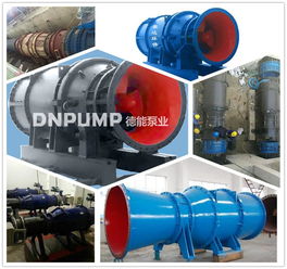 德能泵業(yè) 專業(yè)制造160kw400qzb大流量潛水貫流泵與臥式全貫流泵的領(lǐng)先廠家