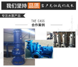 煙氣循環(huán)脫硫泵與臥式全貫流泵的技術(shù)應(yīng)用——以吉林華奧水泵廠(chǎng)為例